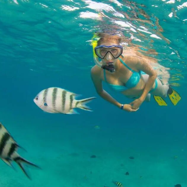 Guided Beach Beginners Snorkeling Tour - FREE Photos & Videos
