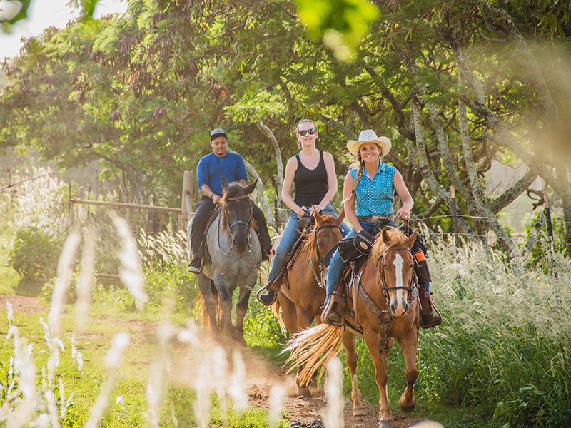 Gunstock Ranch Oahu Horseback Riding Tour