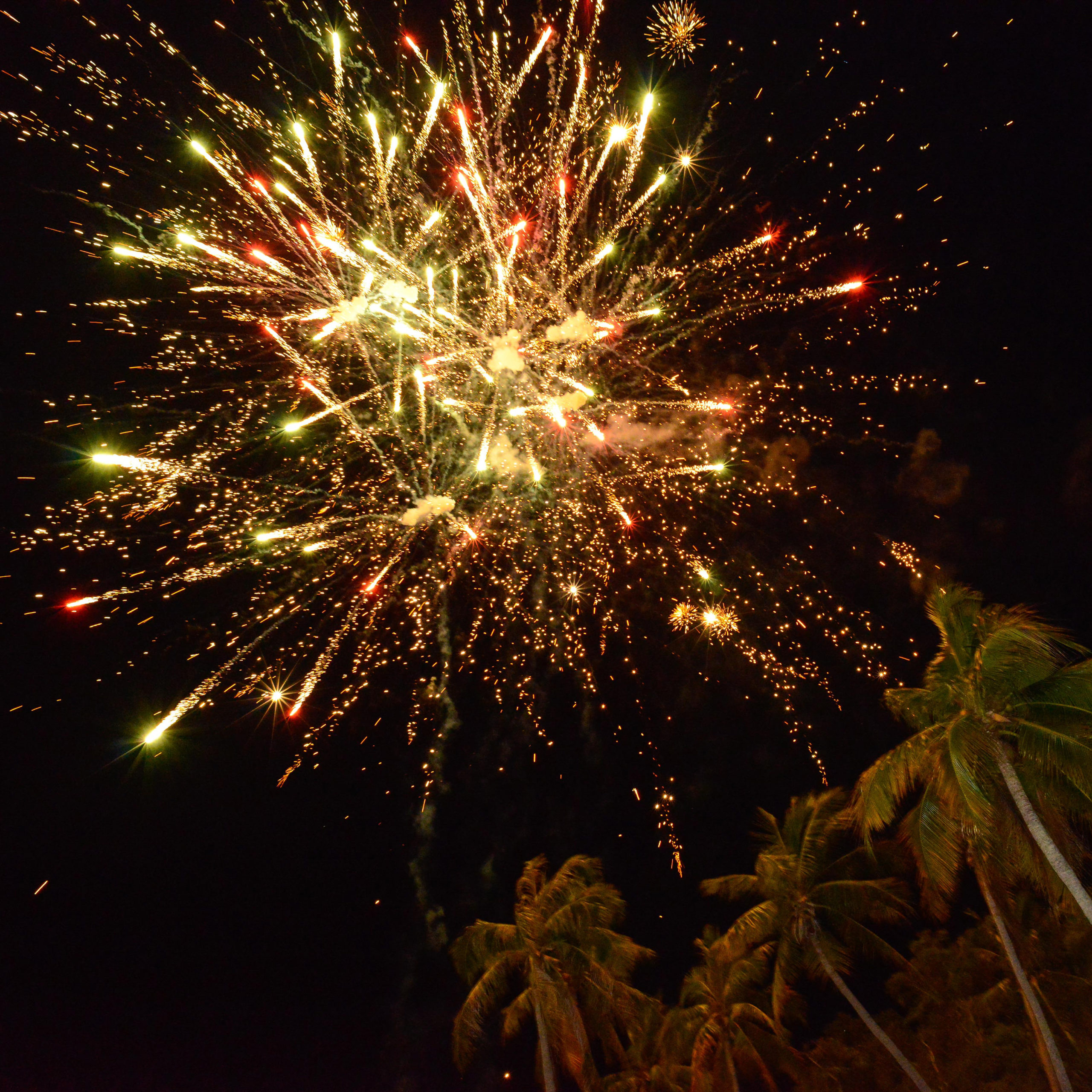 happy new year in hawaii wishes