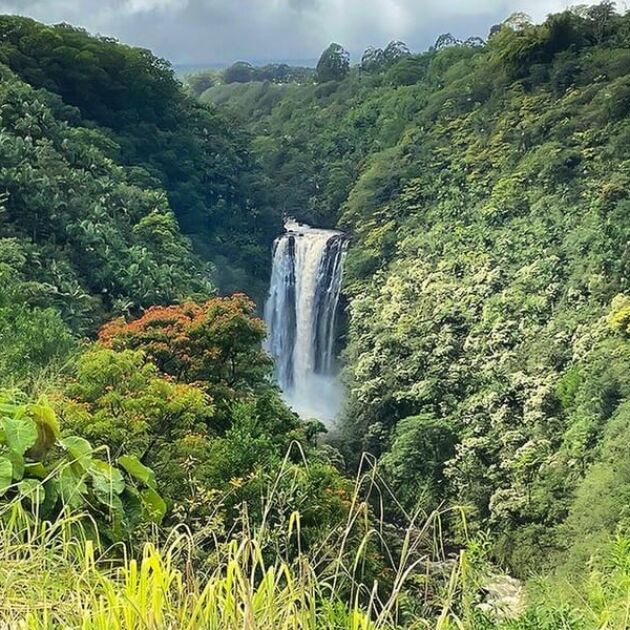 Waterfall Swim & Rainforest Hiking Tour & Nature Eco-Adventure