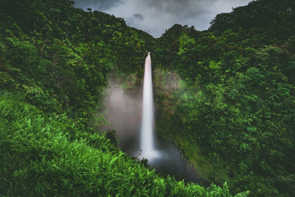 Rain and mist at Akaka Falls, a 300 foot tall waterfall surrounded by rain forest jungle in Akaka Falls State Park near Hilo and Honomu on the Big Island of Hawaiʻi. Hawaii, United States.