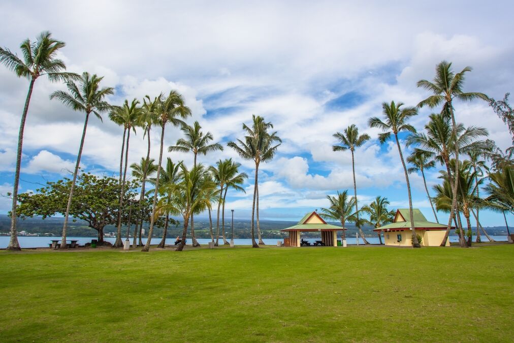 Recreation area with green lawn and tall palm trees in Hilo, Big Island, Hawaii