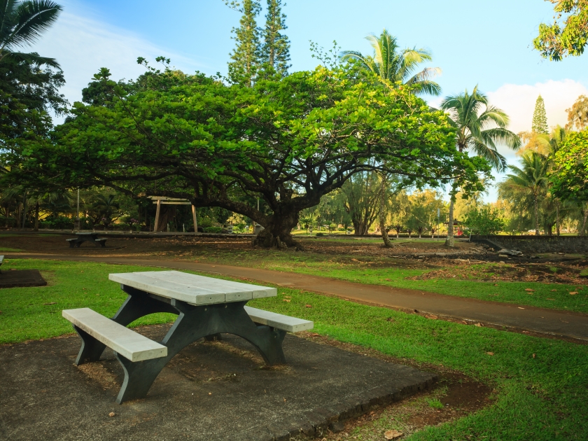 coconut island in hilo hawaii