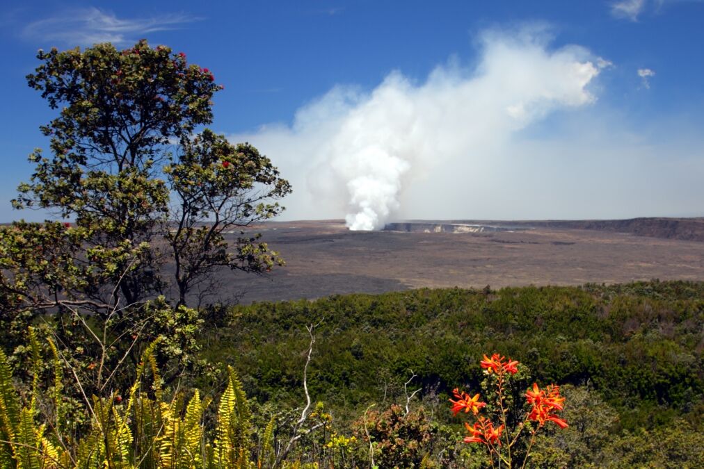 Stock image of Hawaii Volcanoes National Park, USA