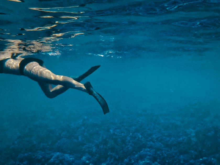 Big Island Hawaii Snorkeling Swimming