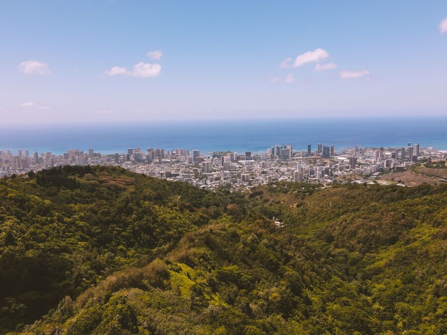 Mount Tantalus, City and forest， Honolulu, Oahu, Hawaii
