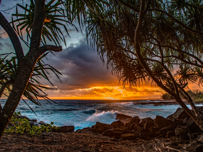 Puna Coast sunrise