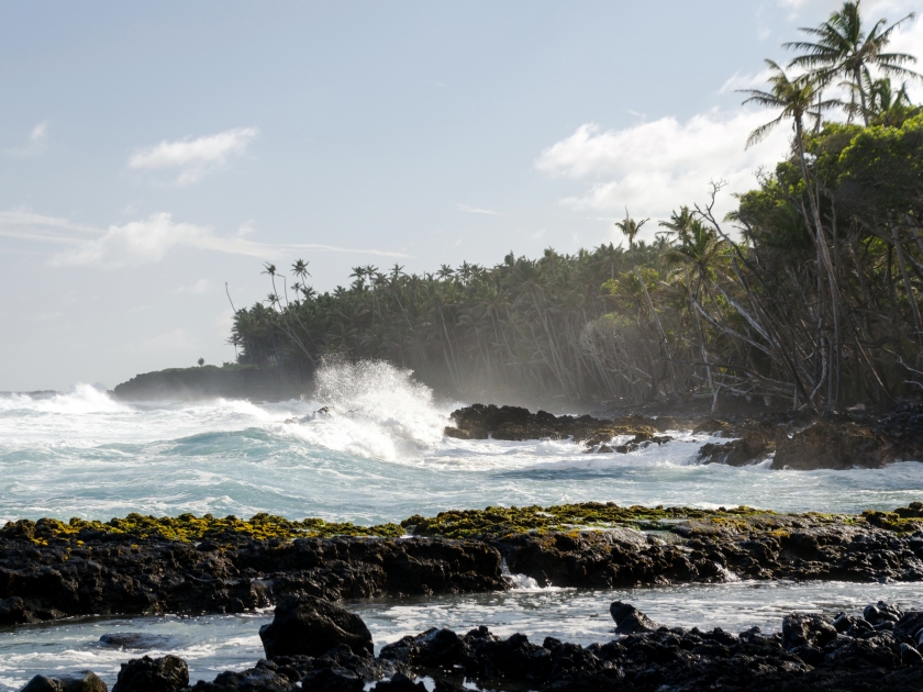 Surf hits tree coastline of palms and drywood at Pohoiki beach, Isaac Hale Park, Hawaii