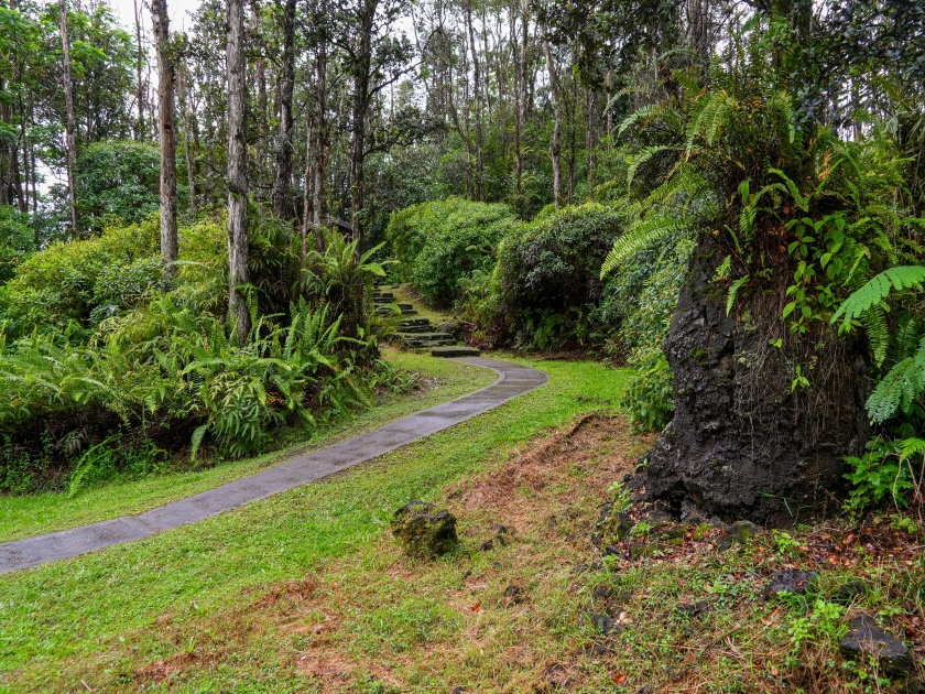 Lava Tree State Monument on the slopes of the Kilauea volcano in the southeast of the Big Island of Hawaii, United States