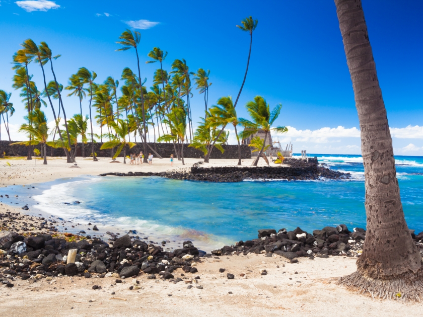 Palm trees growing on ancient Hawaiian site Pu'uhonua O Honaunau National Historical Park on Big Island, Hawaii