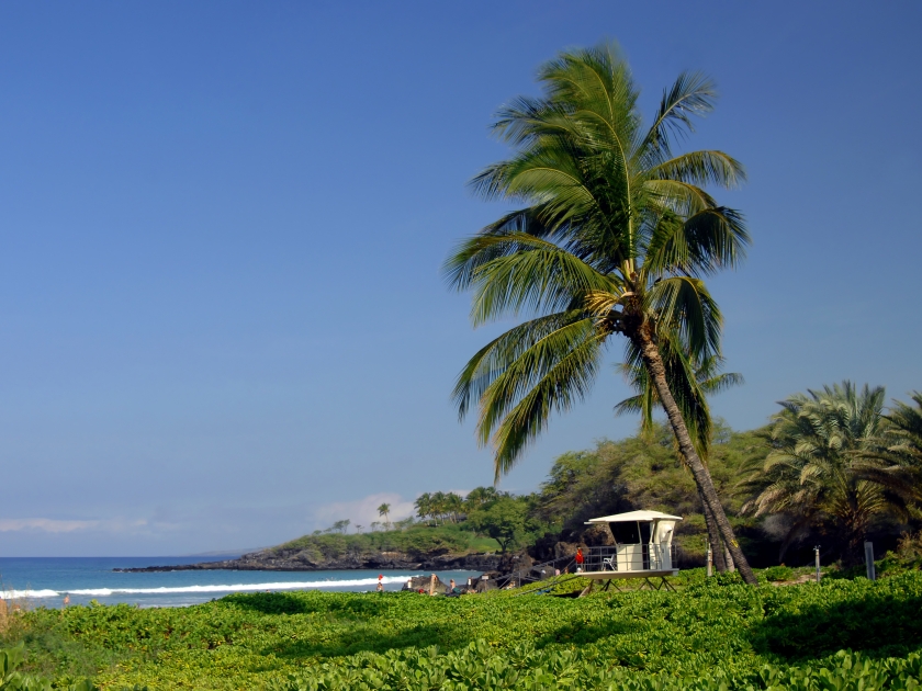 Spencer Beach Park on the Big Island of Hawaii is watched over by life guard stations. Leaning Palm trees sway in the tropical breezes.