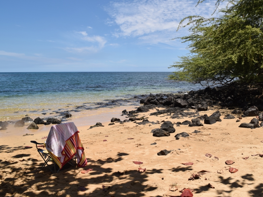 golden sand of Spencer beach, Big Island, Hawaii