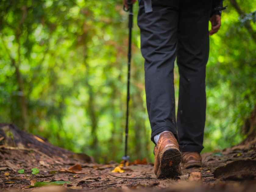 Backpacker trekking to study nature of tropical forest for ecotourism. Tourist trekking to see the beauty of the tropical forest in Khao Yai National Park. UNESCO World Heritage Area, Unseen Thailand.