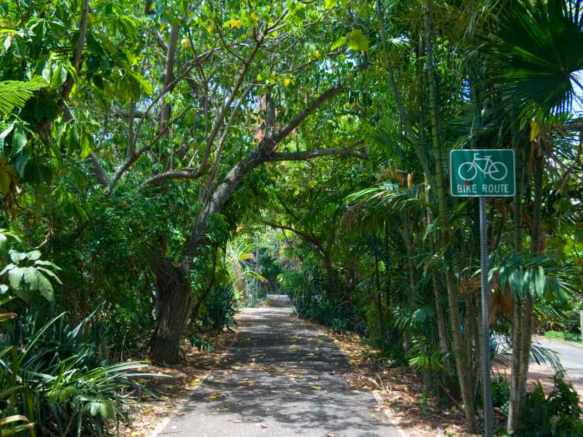 A bike path going through an area dense with tropical plants.
