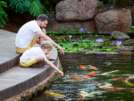 family of two, father and his son, feeding koi carp fish in the beautiful pond, family vacation and fun activity concept
