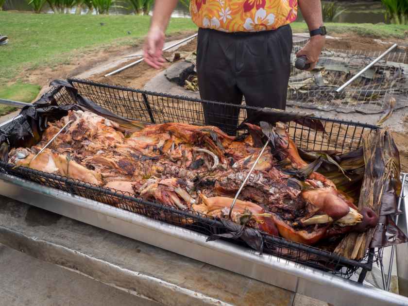 Pig freshly removed from underground pit and Hawaiian luau. Kalua style pig is a staple of the luau.