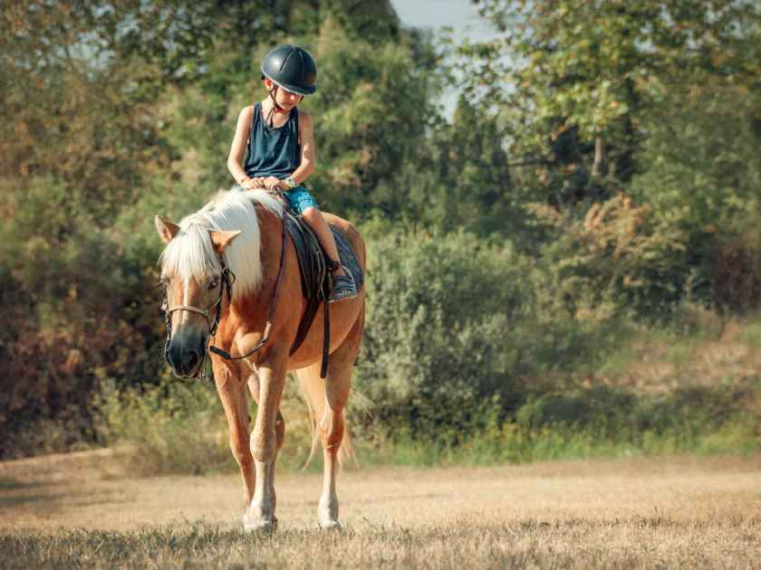 Horseback Riding