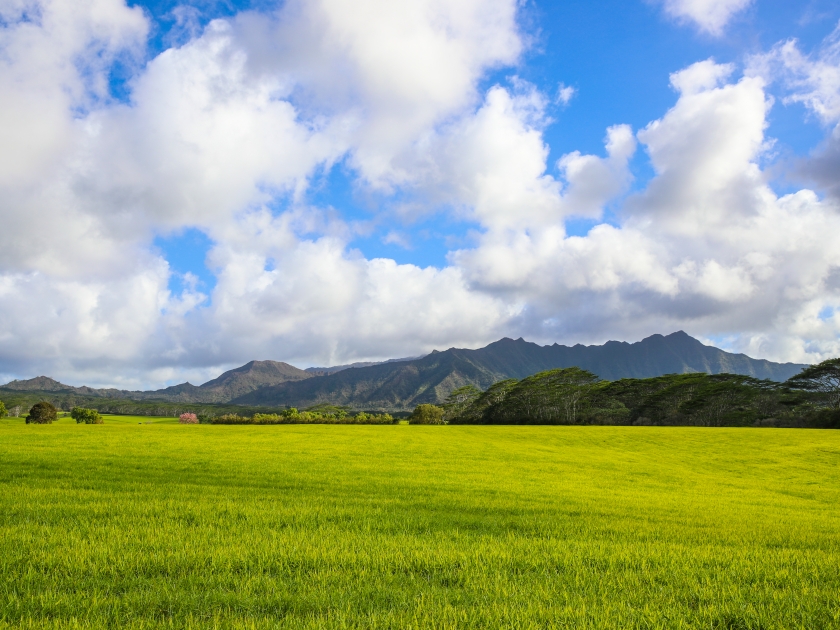 Jurassic Kahili Ranch, Kauai, Hawaii