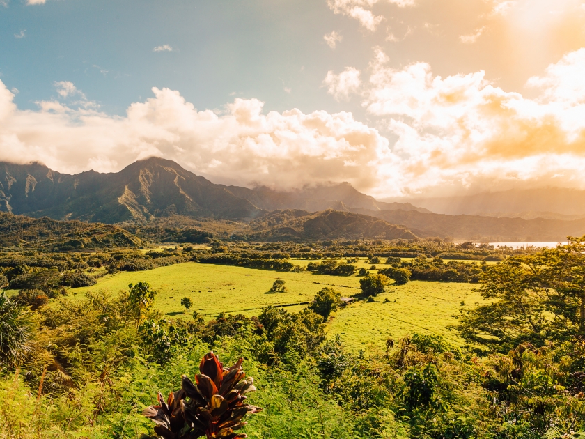 Beautiful nature on the Kauai island, Hawaii, USA. Panoramic view on mountains, rivers, fields and waterfalls.