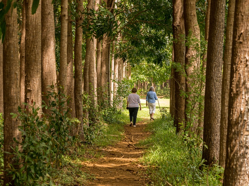 Senior,Adults,Walking,On,The,Wai,Koa,Loop,Trail,Or
