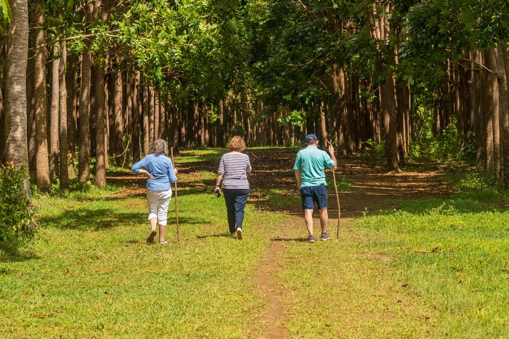 Senior,Adults,Walking,On,The,Wai,Koa,Loop,Trail,Or
