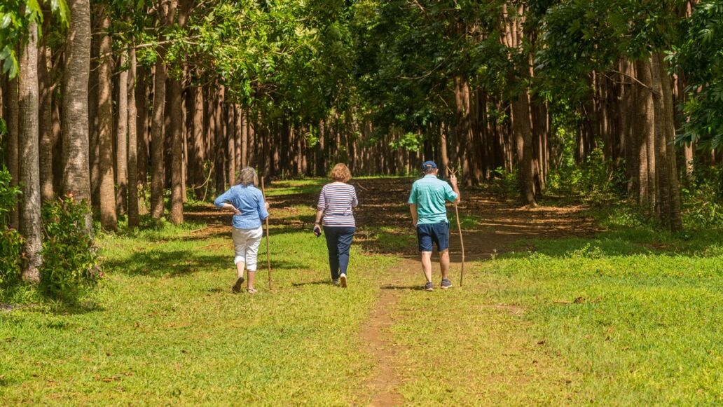 Senior,Adults,Walking,On,The,Wai,Koa,Loop,Trail,Or