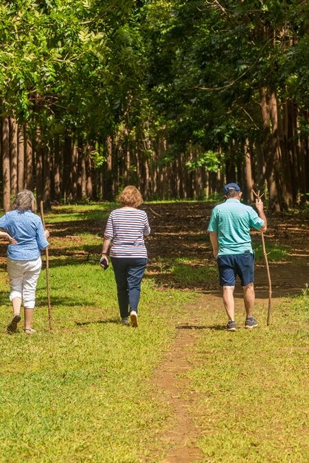 Senior,Adults,Walking,On,The,Wai,Koa,Loop,Trail,Or