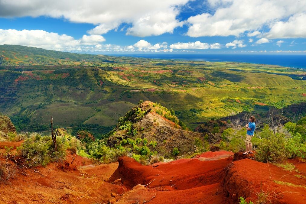 Stunning,View,Into,Waimea,Canyon,,Kauai,,Hawaii