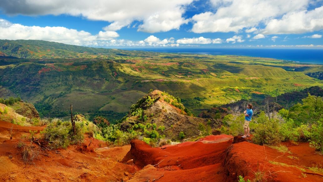 Stunning,View,Into,Waimea,Canyon,,Kauai,,Hawaii