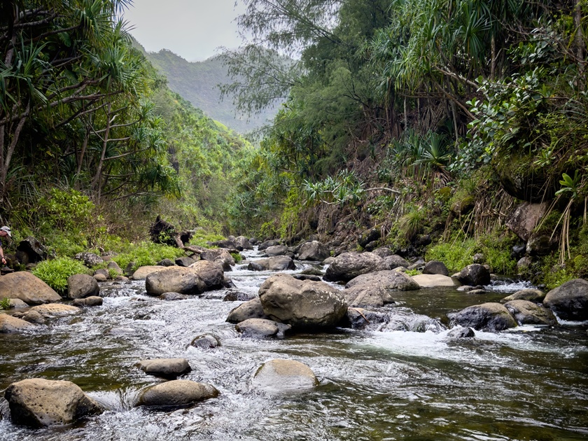 Scenic,View,Of,Hanakapiai,Valley,And,Stream,,Kauai,,Hawaii,,Usa