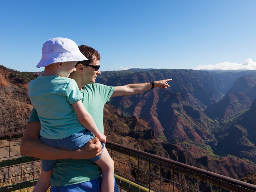 Panorama,Of,Family,Enjoying,Waimea,Canyon,At,Kauai,Island,,Hawaii,