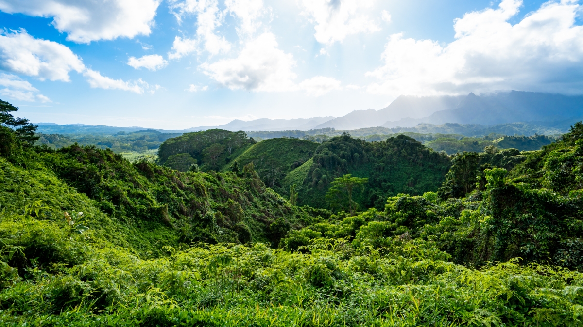 Kuilau Ridge Trailhead - Hawaii Travel Guide