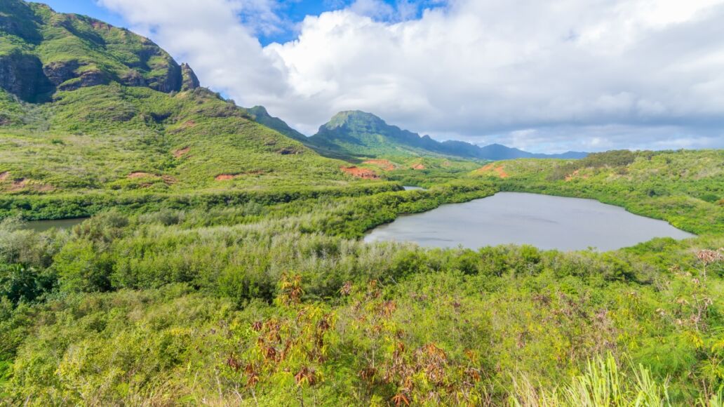 Historic Hawaiian Menehune Fishpond Overlook, Kauai island, Hawaii