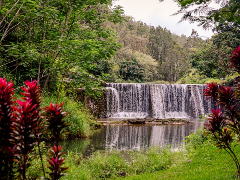 Kilauea Stone Dam at the end of Wai Koa Loop Trail, surrounded by lush forest, Kauai, Hawaii