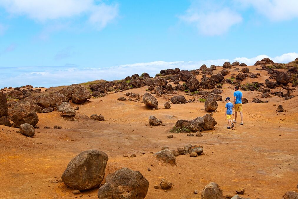 Family,Of,Two,,Father,And,Son,,Hiking,In,Keahiakawelo,,Beautiful