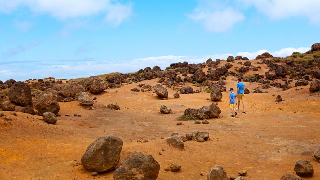 Family,Of,Two,,Father,And,Son,,Hiking,In,Keahiakawelo,,Beautiful