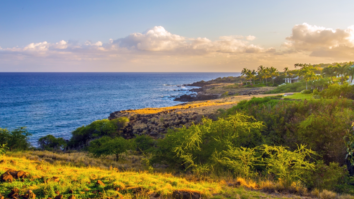 The Best Time of Year to Take a Day Trip to Lanai Hawaii Travel Guide
