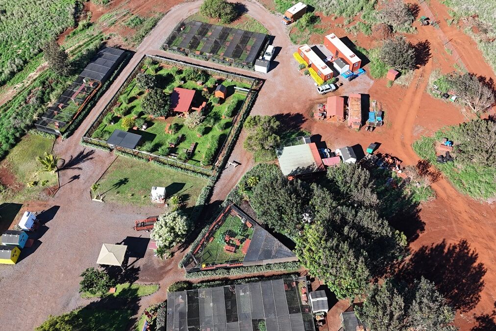 Lanai,City,Cat,Sanctuary,Hawaii