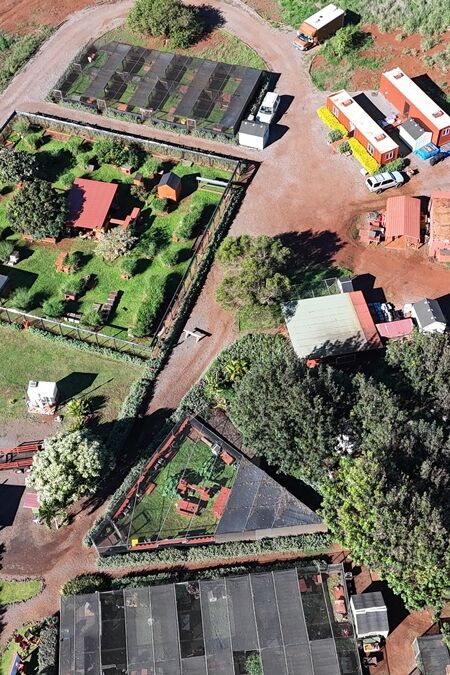 Lanai,City,Cat,Sanctuary,Hawaii