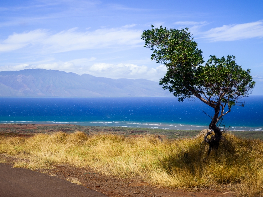 lanai trail