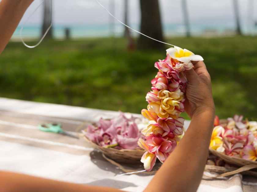 Woman making Hawaiian Lei and Hahu. Process of Handmade flower crown made from Hawaii flower Plumeria.