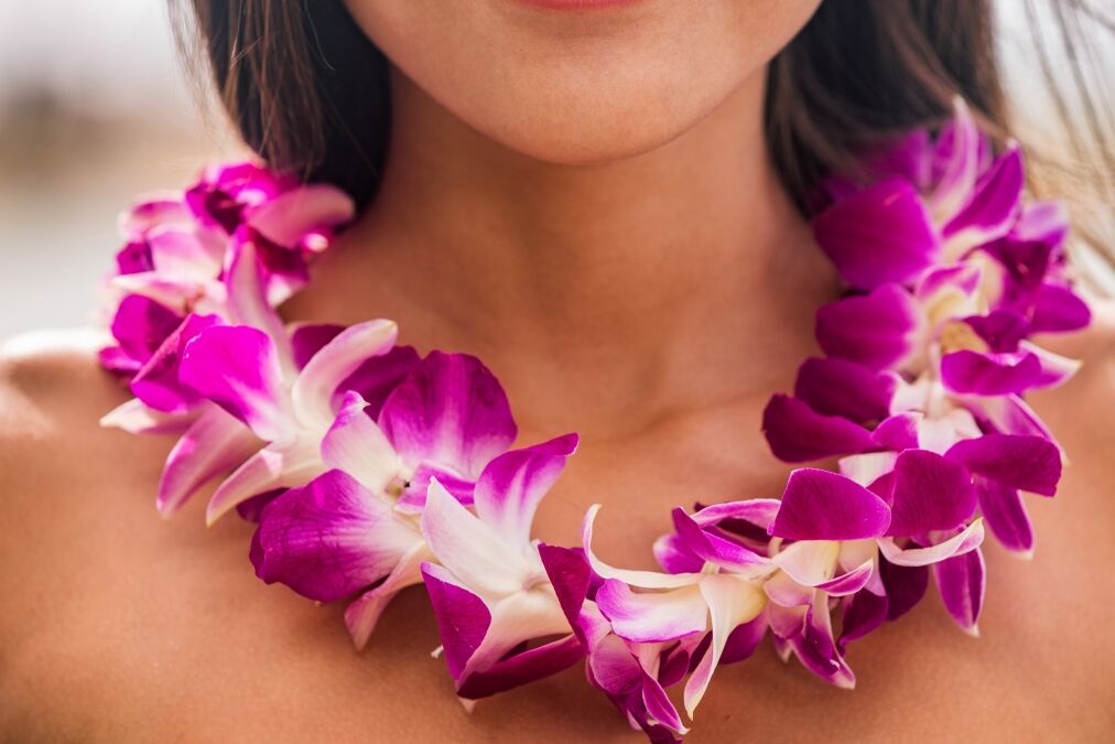 Lei hawaii welcome necklace of fresh orchids flowers garland on woman's neck. Aloha spirit. Hula dancer at luau beach party.