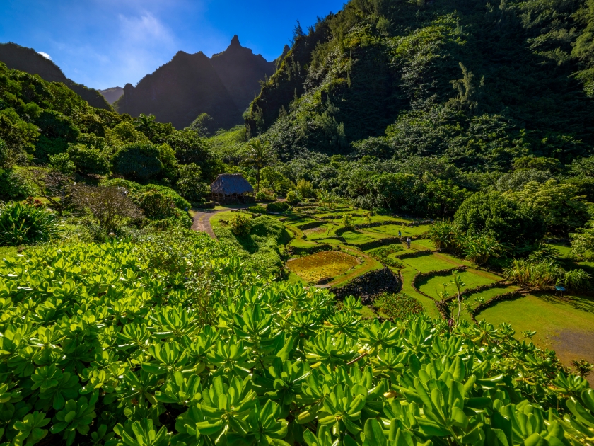 Classic tropical Hawaiian scenery at Limahuli Garden on the island of Kauai, Hawaii.