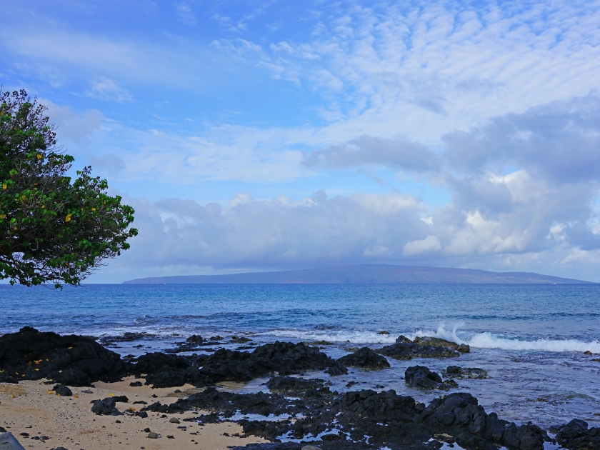 View of black lava rock and blue ocean at the Ahihi-Kinau Natural Area Reserve, on the West shore of Maui south of Wailea and Makena, Hawaii