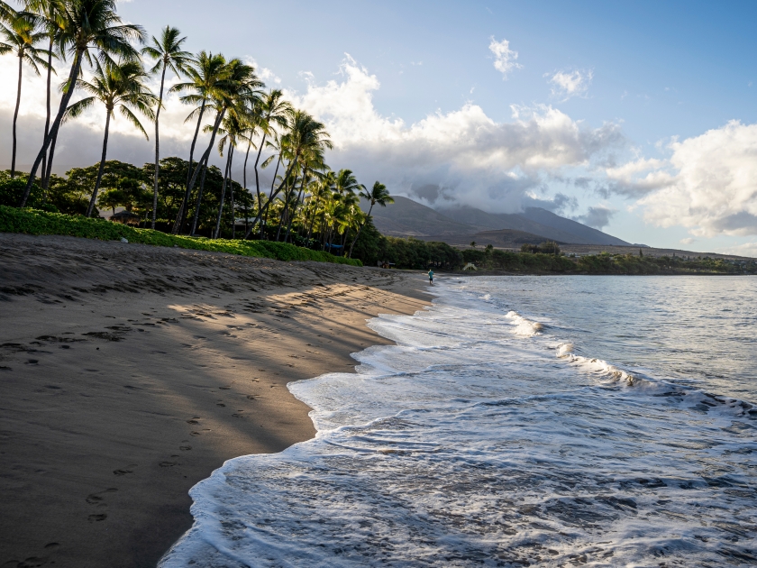Sunshine peers through lush green palm trees as the surf calmly rolls in and out early morning on Ka'anapali Beach in Lahaina, Maui, Hawaii.