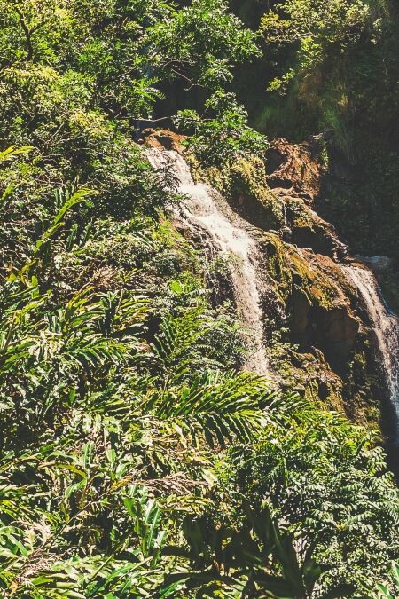 Makapipi Falls - One of The Many Waterfalls That Flow Out Of The Mountains And Lush Rainforest Along The Road To Hana On The Island Of Maui