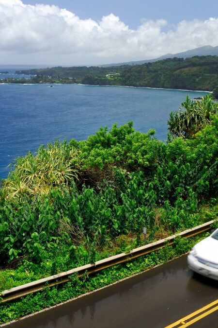 The road to Hana in Maui at Kaumahina State Wayside Park Hawaii