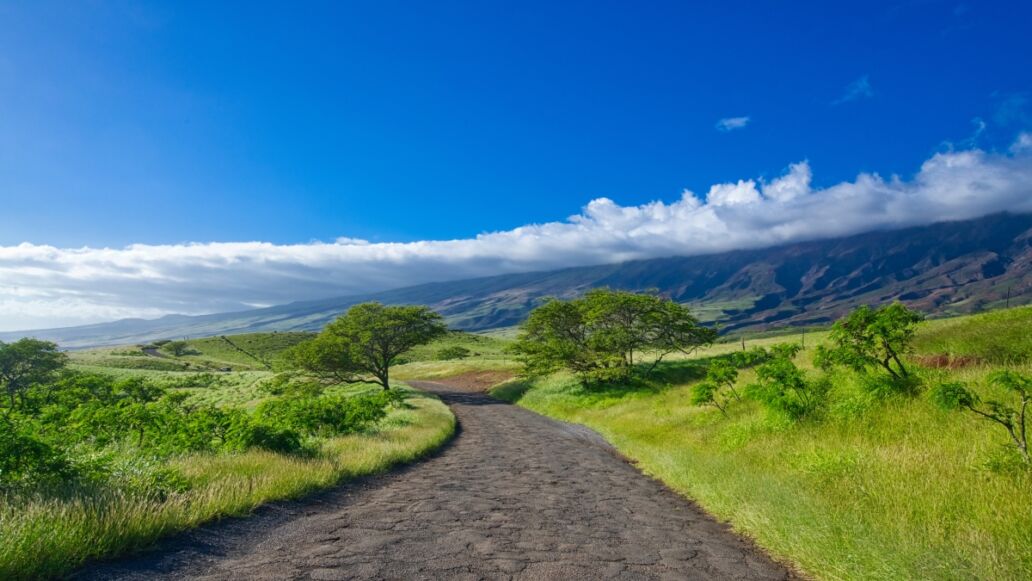 Road to Hana