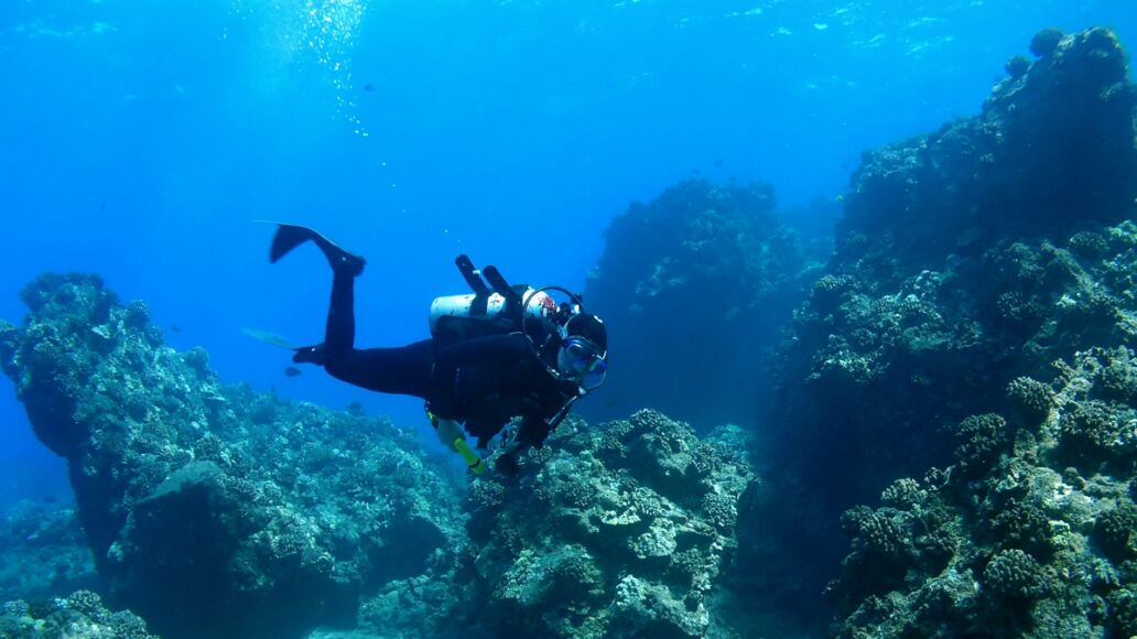 Diver swimming through Reef in Maui Hawaii