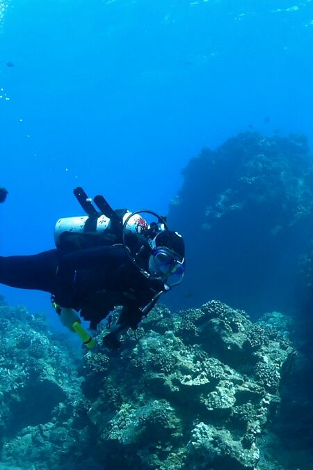 Diver swimming through Reef in Maui Hawaii